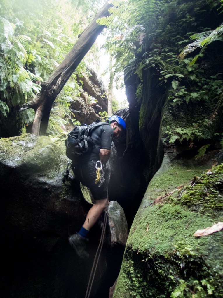 a geronimo horseshoe-35.jpg