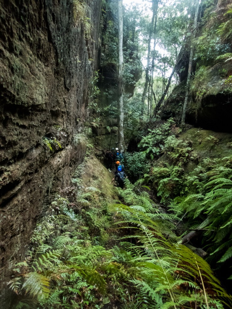 a geronimo horseshoe-49.jpg