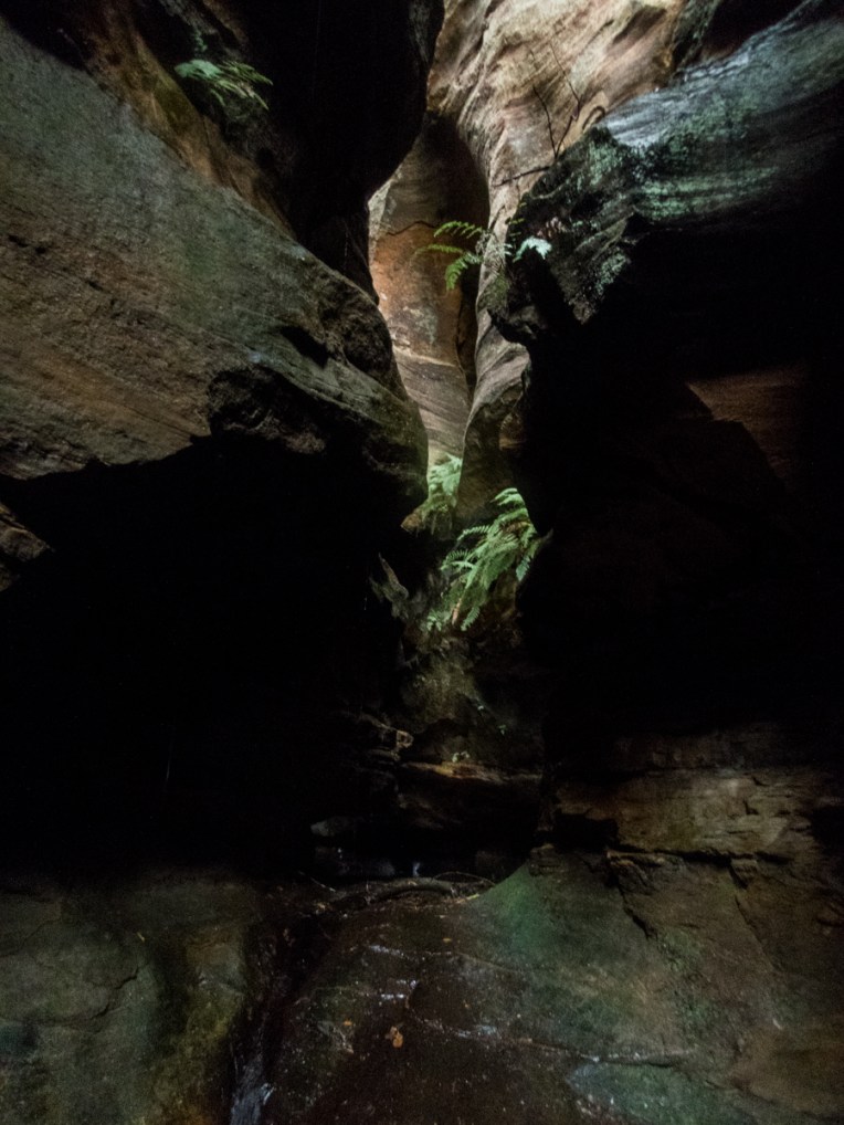 a geronimo horseshoe-57.jpg