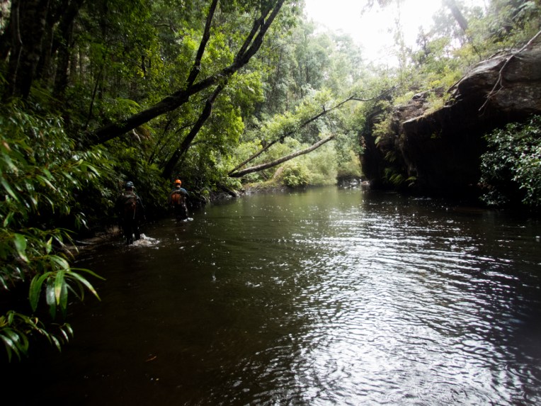 a geronimo horseshoe-63.jpg
