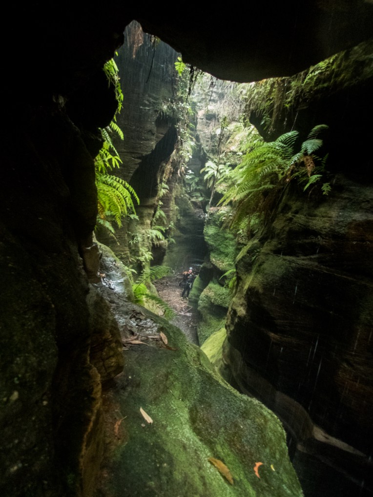 a geronimo horseshoe-7.jpg